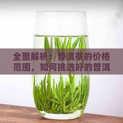 全面解析：普洱茶的价格范围，如何挑选好的普洱茶？