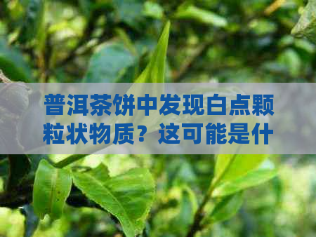 普洱茶饼中发现白点颗粒状物质？这可能是什么原因造成的？如何鉴别与处理？