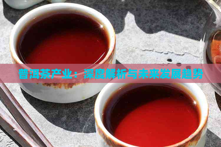 普洱茶产业：深度解析与未来发展趋势