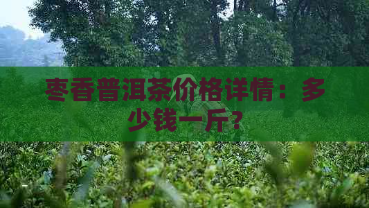 枣香普洱茶价格详情：多少钱一斤？