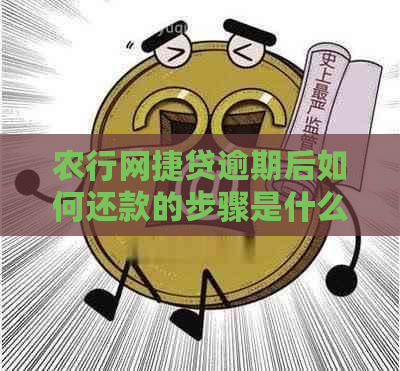 农行网捷贷逾期后如何还款的步骤是什么