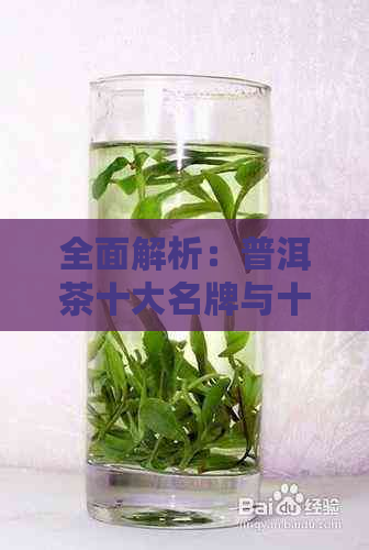 全面解析：普洱茶十大名牌与十大名茶，助您轻松选购优质茶叶