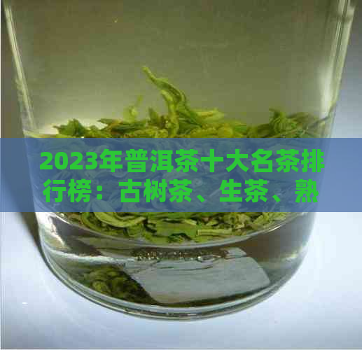 2023年普洱茶十大名茶排行榜：古树茶、生茶、熟茶等精彩品种一网打尽