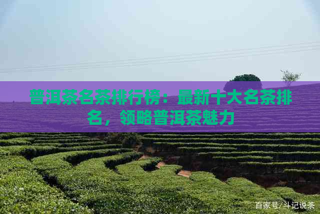 普洱茶名茶排行榜：最新十大名茶排名，领略普洱茶魅力