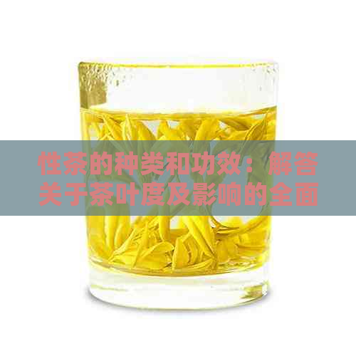 性茶的种类和功效：解答关于茶叶度及影响的全面疑问