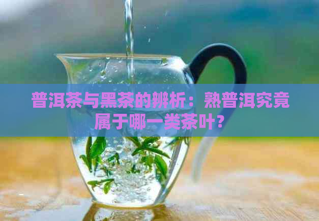 普洱茶与黑茶的辨析：熟普洱究竟属于哪一类茶叶？