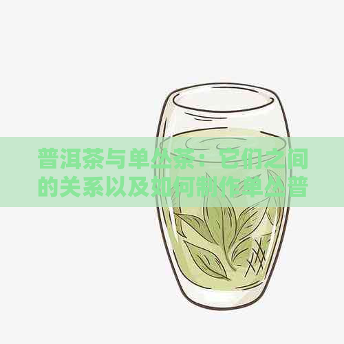 普洱茶与单丛茶：它们之间的关系以及如何制作单丛普洱茶