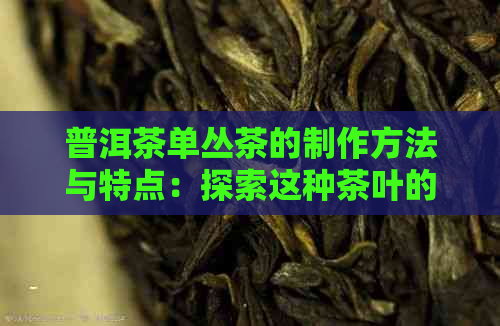 普洱茶单丛茶的制作方法与特点：探索这种茶叶的不同形式