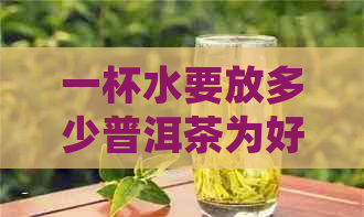 一杯水要放多少普洱茶为好：掌握茶叶用量，让普洱茶更好喝