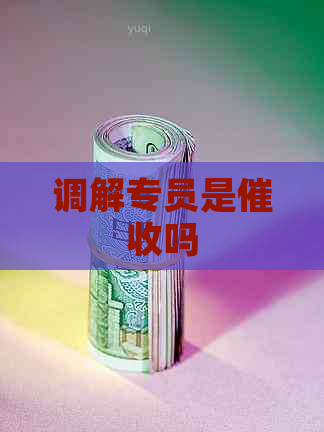 调解专员是吗