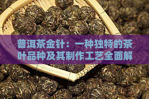 普洱茶金针：一种独特的茶叶品种及其制作工艺全面解析