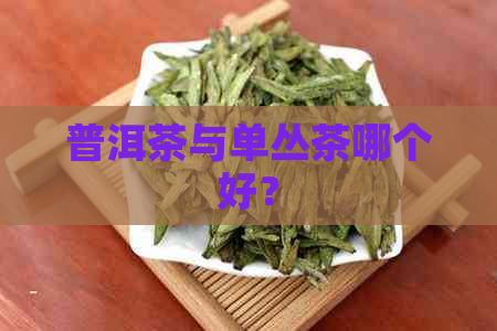 普洱茶与单丛茶哪个好？