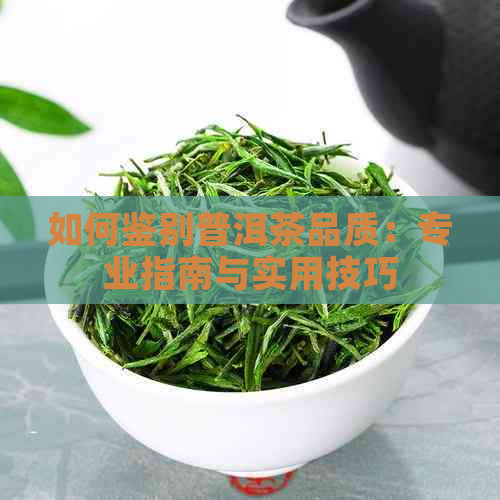 如何鉴别普洱茶品质：专业指南与实用技巧