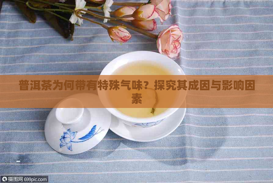 普洱茶为何带有特殊气味？探究其成因与影响因素