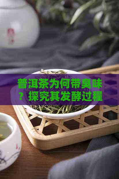 普洱茶为何带臭味？探究其发酵过程及可能原因