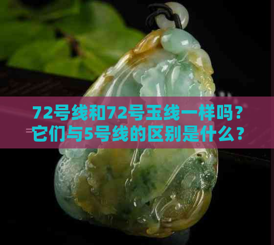 72号线和72号玉线一样吗？它们与5号线的区别是什么？