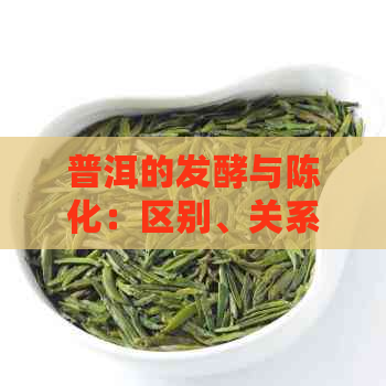 普洱的发酵与陈化：区别、关系和哪个好，以及普洱茶发酵和陈化原理。