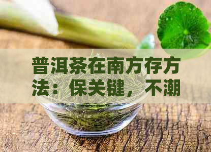 普洱茶在南方存方法：保关键，不潮湿，不过期