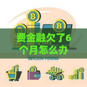 费金融欠了6个月怎么办