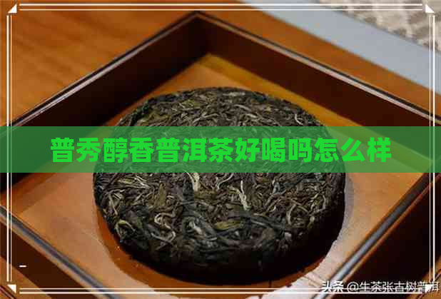 普秀醇香普洱茶好喝吗怎么样