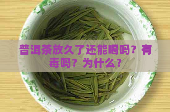 普洱茶放久了还能喝吗？有吗？为什么？