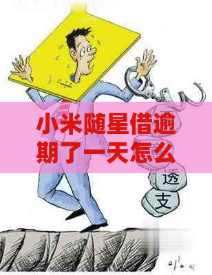 小米随星借逾期了一天怎么办