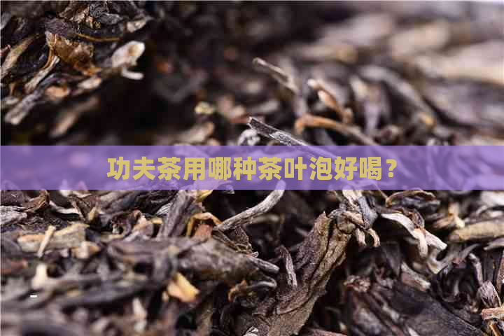 功夫茶用哪种茶叶泡好喝？