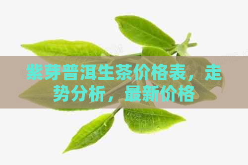 紫芽普洱生茶价格表，走势分析，最新价格