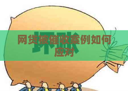 网贷被案例如何应对