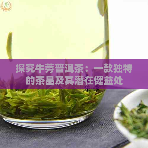 探究牛蒡普洱茶：一款独特的茶品及其潜在健益处