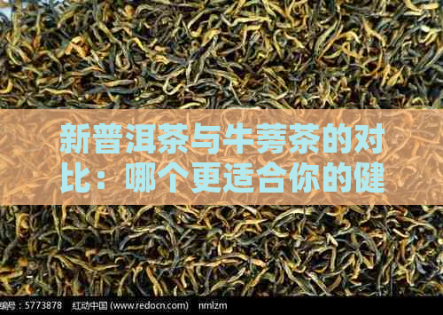 新普洱茶与牛蒡茶的对比：哪个更适合你的健需求？