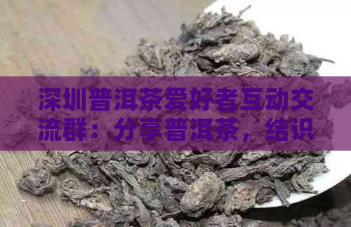 深圳普洱茶爱好者互动交流群：分享普洱茶，结识新朋友