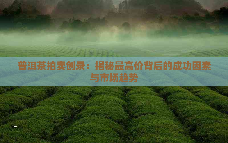 普洱茶拍卖创录：揭秘更高价背后的成功因素与市场趋势