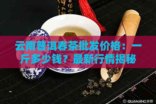 云南普洱春茶批发价格：一斤多少钱？最新行情揭秘