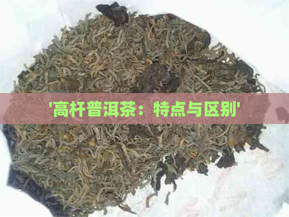 '高杆普洱茶：特点与区别'