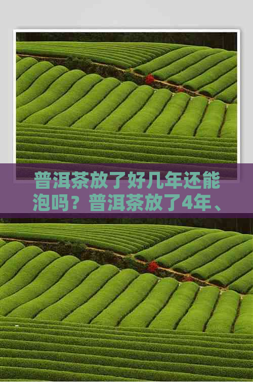 普洱茶放了好几年还能泡吗？普洱茶放了4年、7年、10年还能喝吗？