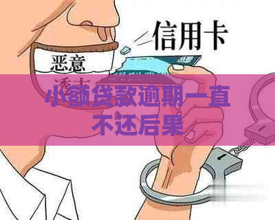 小额贷款逾期一直不还后果