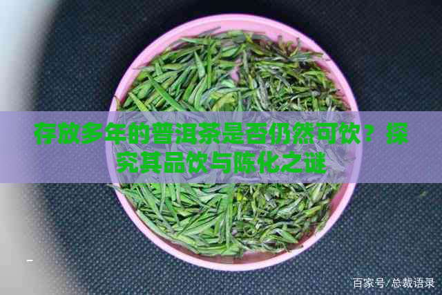 存放多年的普洱茶是否仍然可饮？探究其品饮与陈化之谜