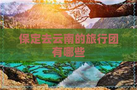 保定去云南的旅行团有哪些