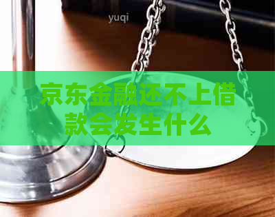 京东金融还不上借款会发生什么