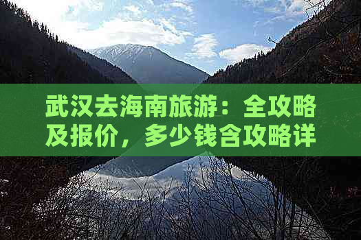 武汉去海南旅游：全攻略及报价，多少钱含攻略详解