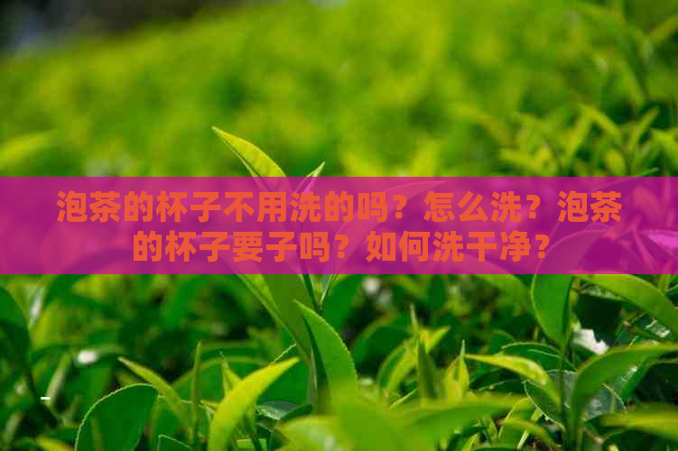 泡茶的杯子不用洗的吗？怎么洗？泡茶的杯子要子吗？如何洗干净？