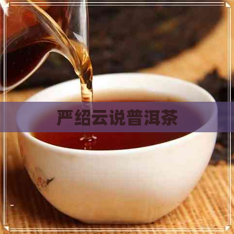 严绍云说普洱茶