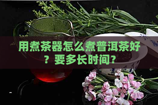 用煮茶器怎么煮普洱茶好？要多长时间？