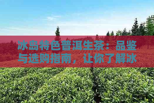 冰岛特色普洱生茶：品鉴与选购指南，让你了解冰岛茶的特点与适合的泡法