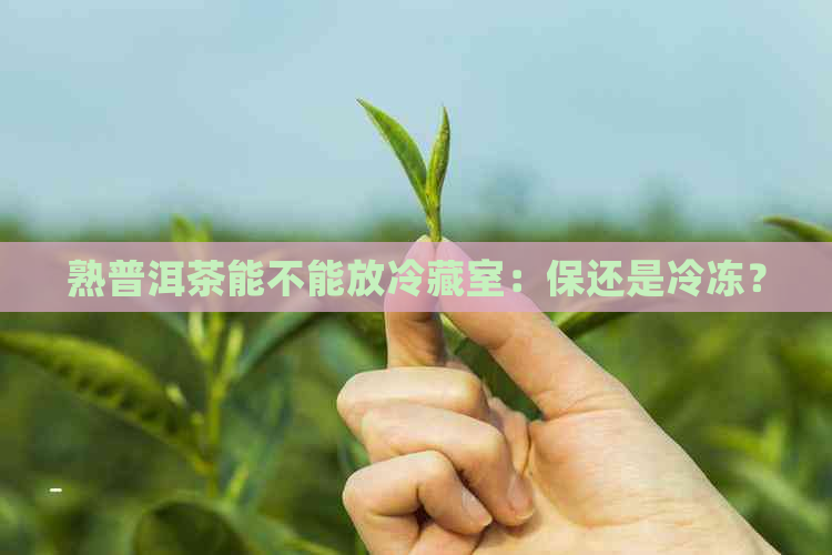 熟普洱茶能不能放冷藏室：保还是冷冻？