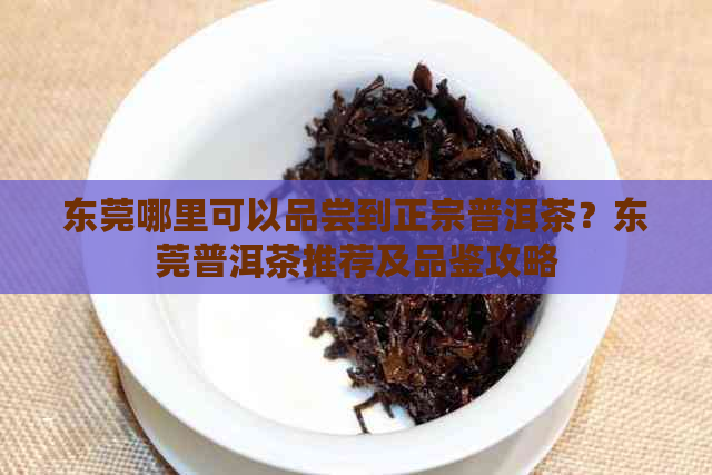 东莞哪里可以品尝到正宗普洱茶？东莞普洱茶推荐及品鉴攻略