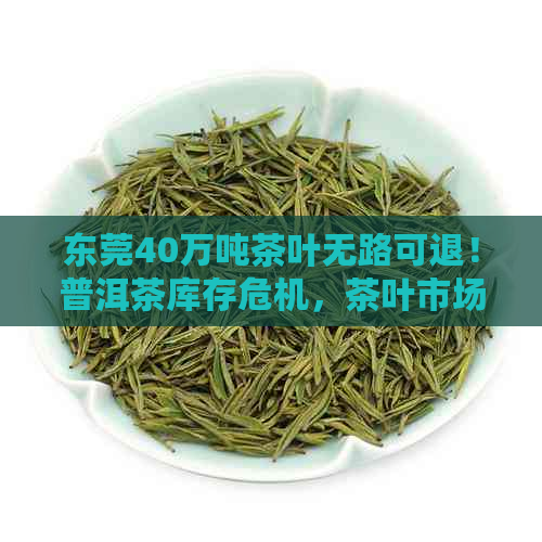 东莞40万吨茶叶无路可退！普洱茶库存危机，茶叶市场何去何从？