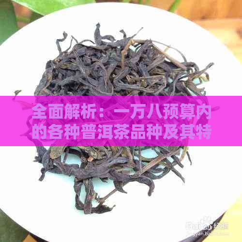 全面解析：一万八预算内的各种普洱茶品种及其特点，助您轻松选购