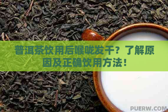 普洱茶饮用后喉咙发干？了解原因及正确饮用方法！